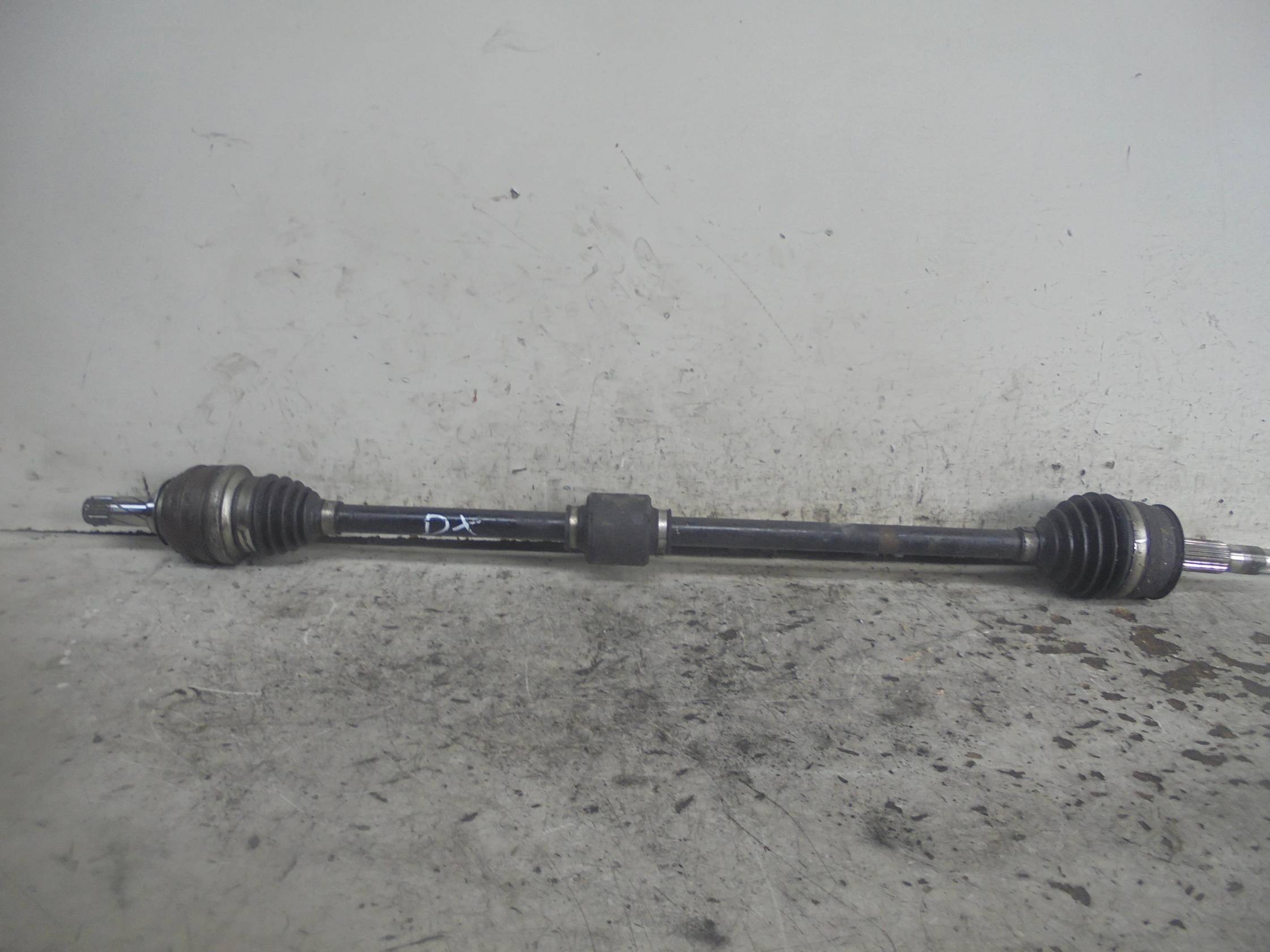 Semialbero ant. compl. dx.